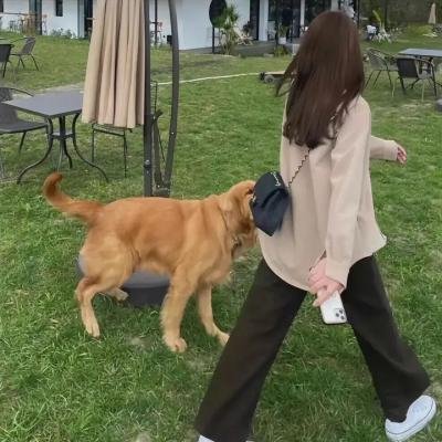 他们可能是巨人